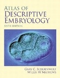 Bild: Atlas of Descriptive Embryology - Pearson