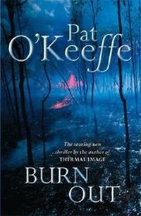 Abbildung von: Burn Out - Hodder & Stoughton Ltd