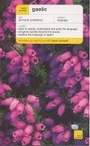 Cover: Teach Yourself Gaelic - TEACH YOURSELF
