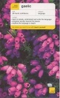 Cover: Teach Yourself Gaelic - TEACH YOURSELF