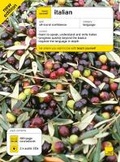Cover: Teach Yourself Italian Book + CD pack 5th Edition - TEACH YOURSELF
