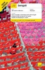 Cover: Teach Yourself Bengali Book 4th Edition - TEACH YOURSELF