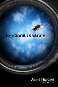 Enlarge image Cover: Reconnaissance - Texture Press