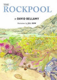 Enlarge image Cover: The Rockpool - Frances Lincoln Children's Books