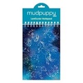 Cover: Constellations Lenticular Notepad - Mudpuppy Press