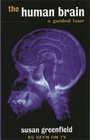 Cover: The Human Brain - Orion (an Imprint of The Orion Publishing Group Ltd )