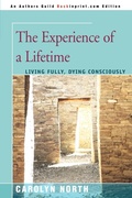 Cover: The Experience of a Lifetime - iUniverse