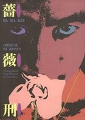 Cover: Ba Ra Kei:Ordeal by Roses - Aperture