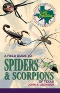 Cover: A Field Guide to Spiders & Scorpions of Texas - Taylor Trade Publishing