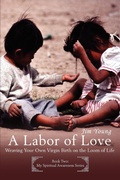 Cover: A Labor of Love - iUniverse