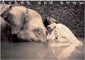 Cover: Girl with Elephant New York Exhibition (Standard Poster) - Flying Elephant Books