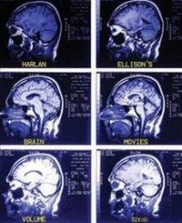 Abbildung von: Brain Movies - Edgeworks Abbey