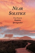Cover: Near Solstice - Holy Cow Press