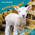 Cover: Lamb - DK Children