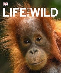 Enlarge image Cover: Life In The Wild - DK