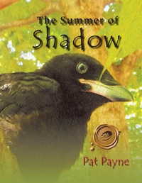 Abbildung von: The Summer of Shadow - Trafford Publishing