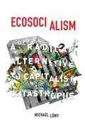 Cover: Ecosocialism - Haymarket Books