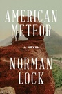 Cover: American Meteor - Bellevue Literary Press