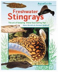 Enlarge image Cover: AquaGuide to Freshwater Stingrays - Interpet Publishing
