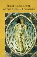 Cover: Spirit as Sculptor of the Human Organism - Rudolf Steiner Press