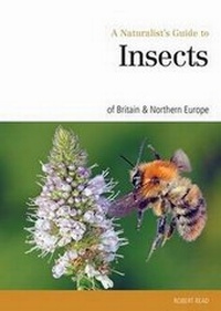 Enlarge image Cover: Naturalist's Guide to the Insects of Britain & Northern Ireland - John Beaufoy Publishing Ltd