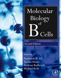 Cover: Molecular Biology of B Cells - Academic Press