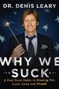 Cover: Why We Suck - Viking