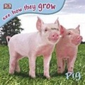 Cover: Pig with Sticker - Dorling Kindersley Australia