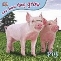 Enlarge image Cover: Pig with Sticker - Dorling Kindersley Australia
