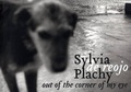 Cover: Out Of The Corner Of My Eye - Umbrage Editions,US