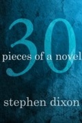 Cover: 30 Pieces of a Novel - Dzanc Books