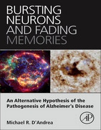 Abbildung von: Bursting Neurons and Fading Memories - Academic Press