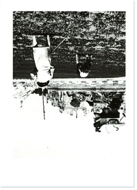 Enlarge image Cover: hortus semper virens - Universität der Künste Berlin
