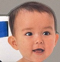 Cover: Buggy Book: Baby Faces - Dorling Kindersley Publishers Ltd