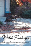 Cover: Wild Turkeys & Other Stories - iUniverse
