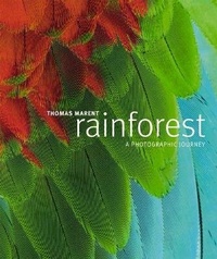 Enlarge image Cover: Rainforest - DK