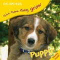 Cover: Puppy - DK Children