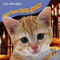 Cover: Kitten - DK Children