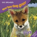 Cover: Fox - DK Children