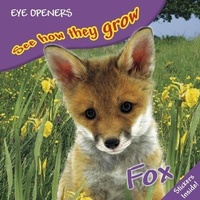 Enlarge image Cover: Fox - DK Children