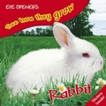 Cover: Bunny - DK Children