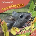 Cover: Mouse - DK Children