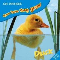 Enlarge image Cover: Duck - DK Children