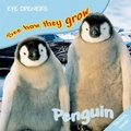 Cover: Penguin - DK Children