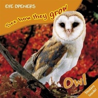 Enlarge image Cover: Owl - DK Children