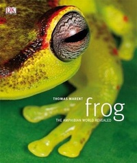Enlarge image Cover: Frog - DK