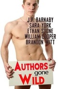 Cover: Authors Gone Wild - Umbrella Book Group / Stiff Rain Press, LLC