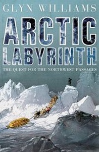 Abbildung von: Arctic Labyrinth - Allen Lane