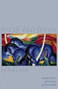 Cover: Box of Blue Horses - Gival Press