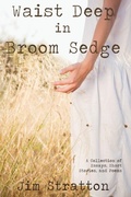 Cover: Waist Deep in Broom Sedge - iUniverse